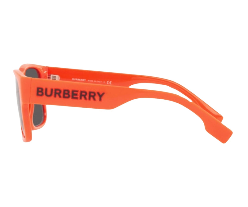 Burberry_Sunglasses_Knight_4358_4000/87_57_90