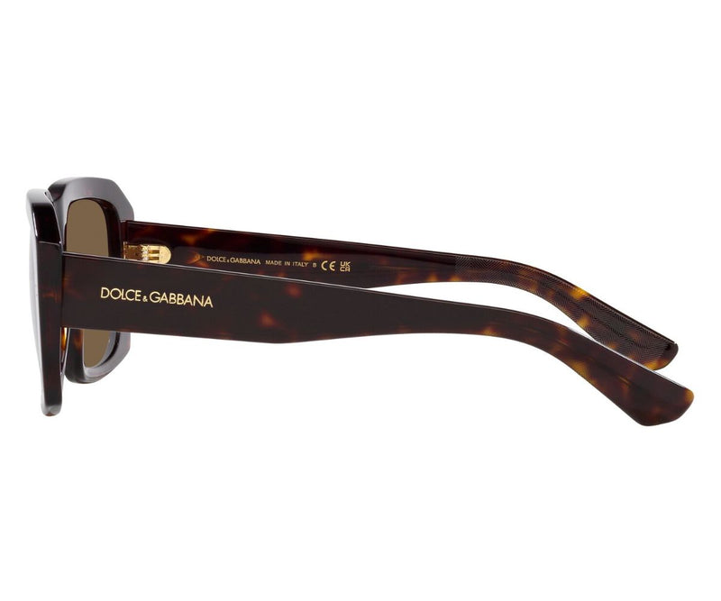 Dolce & Gabbana_Sunglasses_4430_502/73_54_90